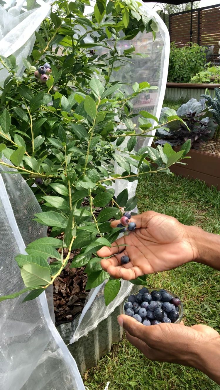 CrossPollination Charts